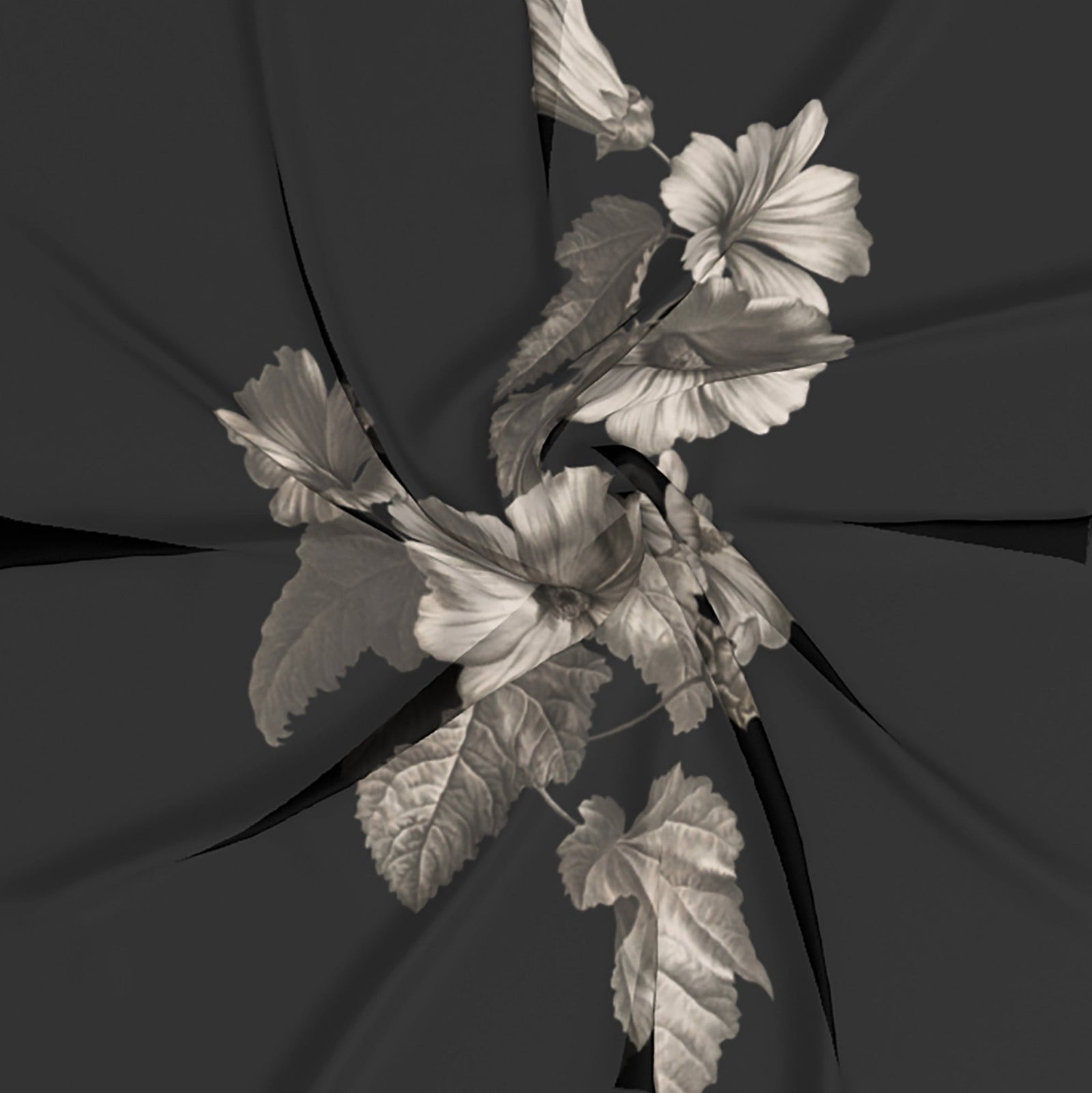 Noir Botanica No. 1 | Collection